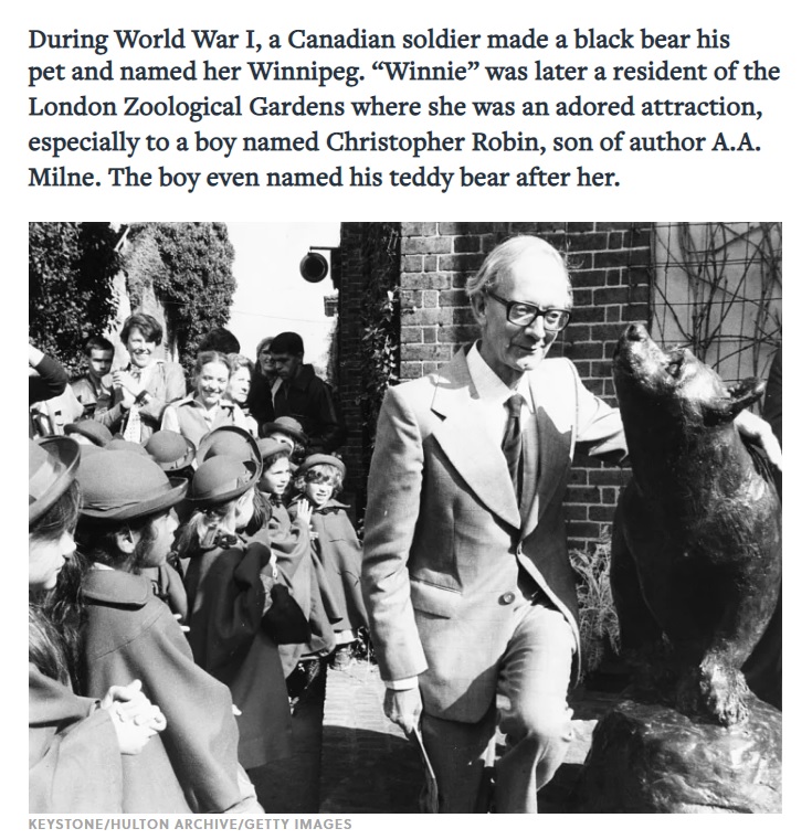 christopher robin milne old - During World War I, a Canadian soldier made a black bear his pet and named her Winnipeg. "Winnie was later a resident of the London Zoological Gardens where she was an adored attraction, especially to a boy named Christopher 