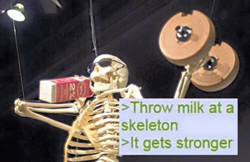 spooky skeleton memes - E >Throw milk at a skeleton >It gets stronger