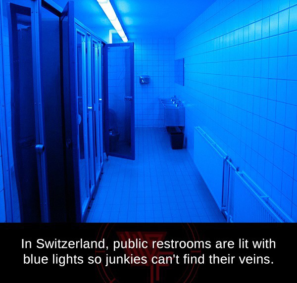 blue restrooms girls - In Switzerland, public restrooms are lit with blue lights so junkies can't find their veins.