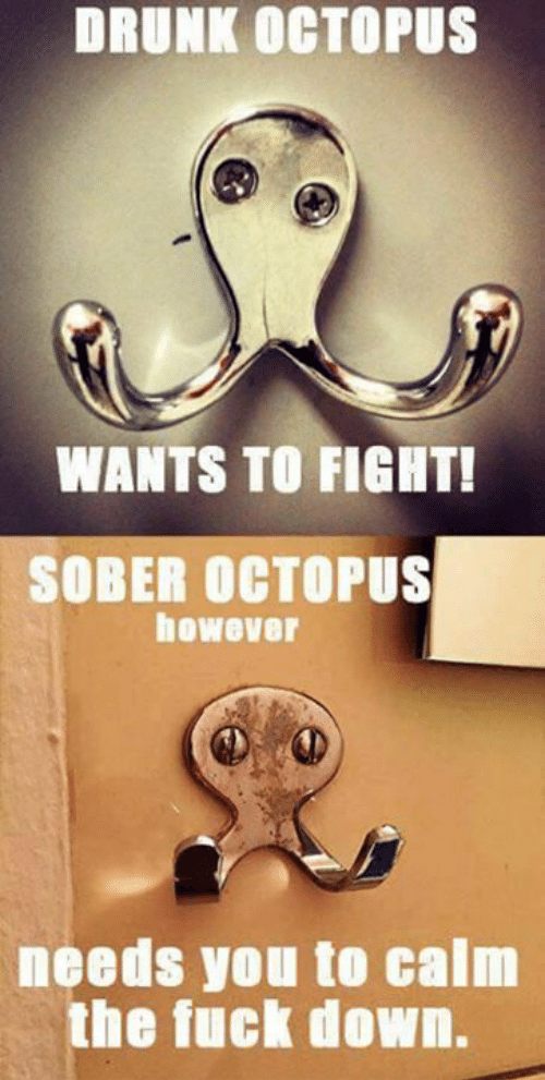 drunk octopus sober octopus - Drunk Octopus Wants To Fight! Sober Octopus however needs you to calm the fuck down.