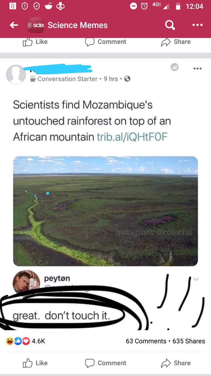 web page - O t i scier Science Memes 4G 4 i a ... @ Comment "Conversation Starter 9 hrs Scientists find Mozambique's untouched rainforest on top of an African mountain trib.aliQHtFOF instagram peyton I great. don't touch it. Do 63 635 D Comment