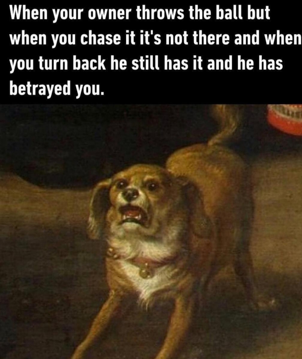classical art memes animals - When your owner throws the ball but when you chase it it's not there and when you turn back he still has it and he has betrayed you.