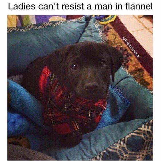 im a sucker for a guy in flannel - Ladies can't resist a man in flannel