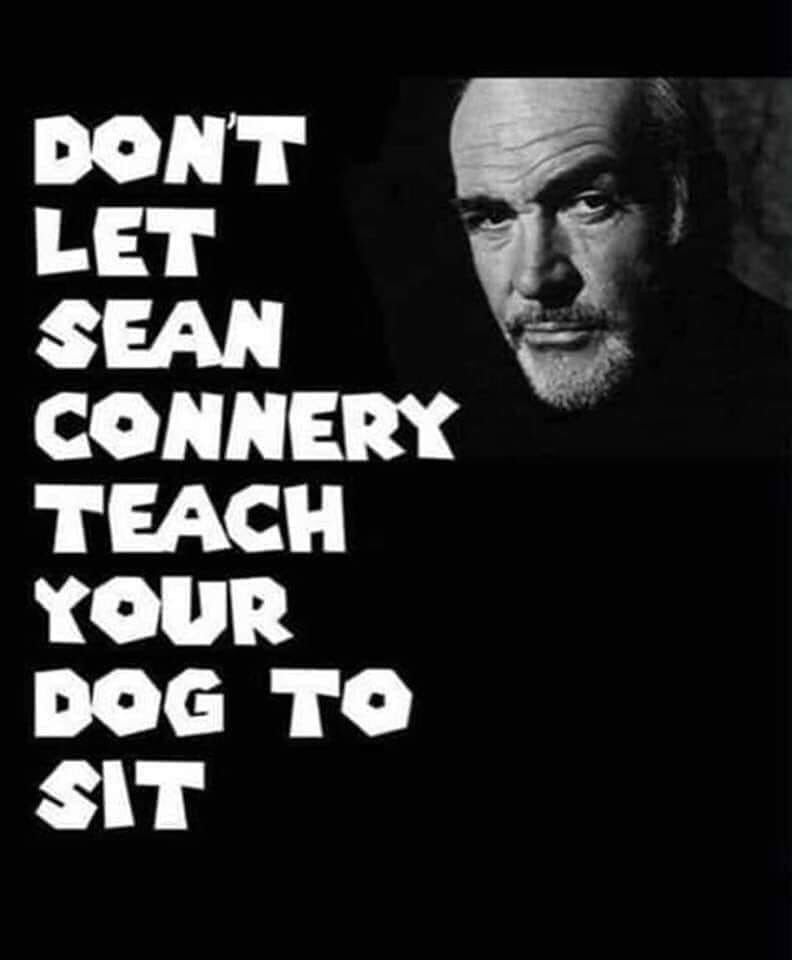 monochrome photography - Don'T Let Sean Connery Teach Your Dog To Sit