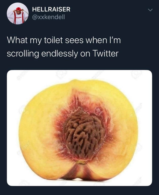 peach - Hellraiser What my toilet sees when I'm scrolling endlessly on Twitter