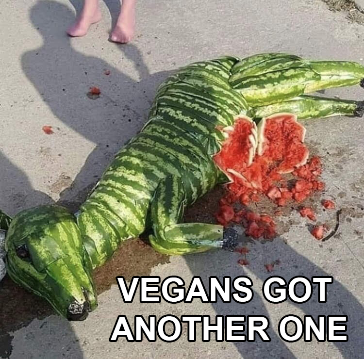 vegan joke - Vegans Got Another One