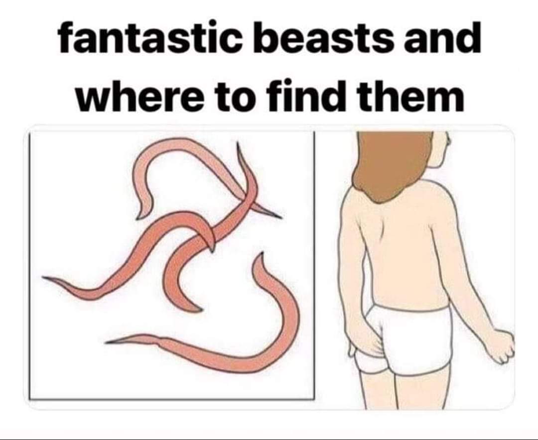 cartoon - fantastic beasts and where to find them