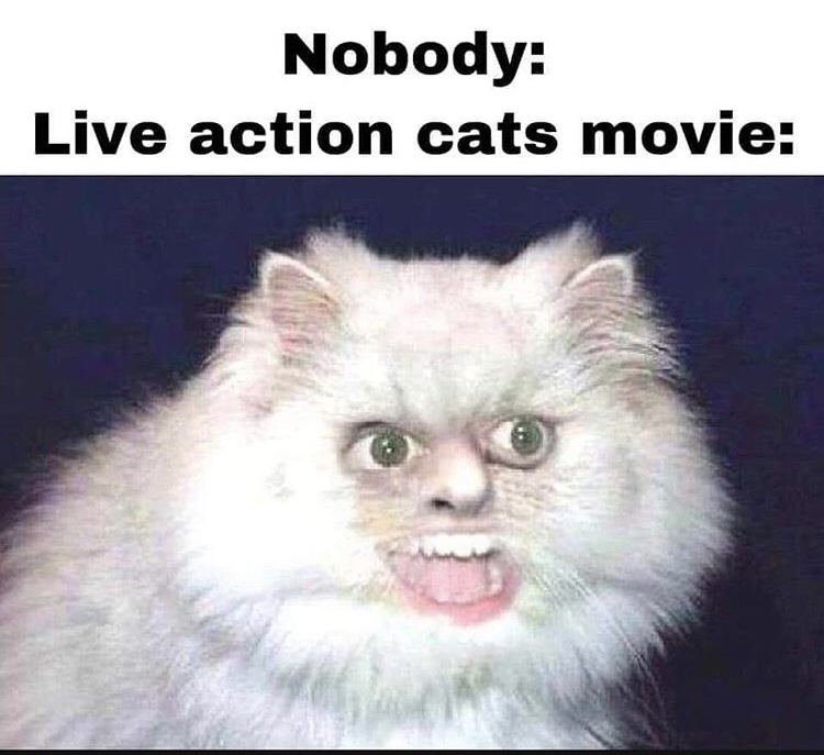 live action cats movie - Nobody Live action cats movie