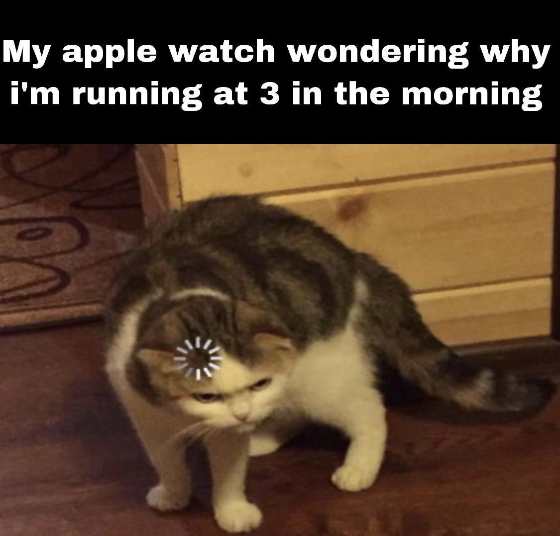 cat with loading symbol meme - My apple watch wondering why i'm running at 3 in the morning