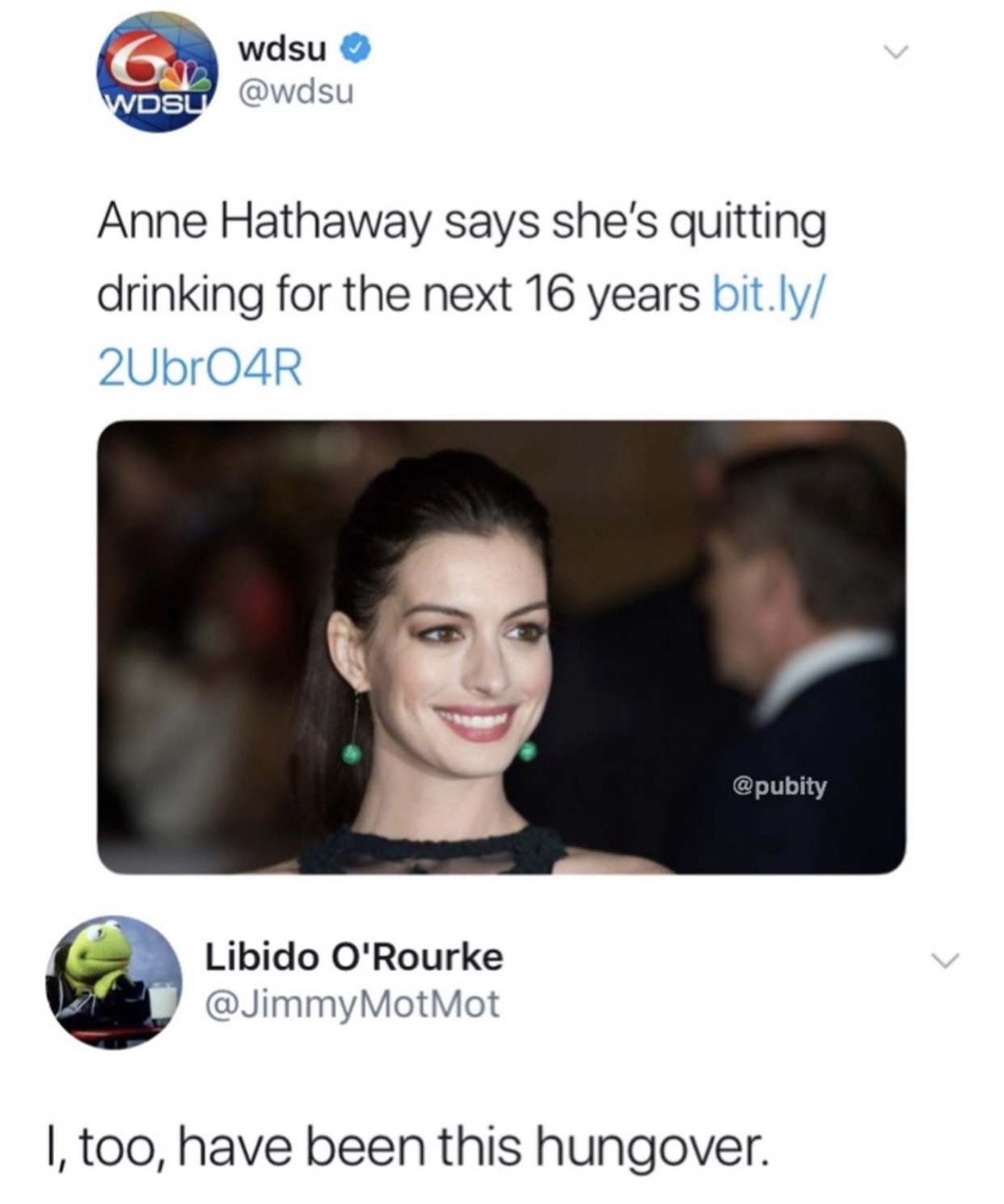 too have been this hungover - wdsu Wdsu Anne Hathaway says she's quitting drinking for the next 16 years bit.ly 2UbrO4R Libido O'Rourke MotMot I, too, have been this hungover.