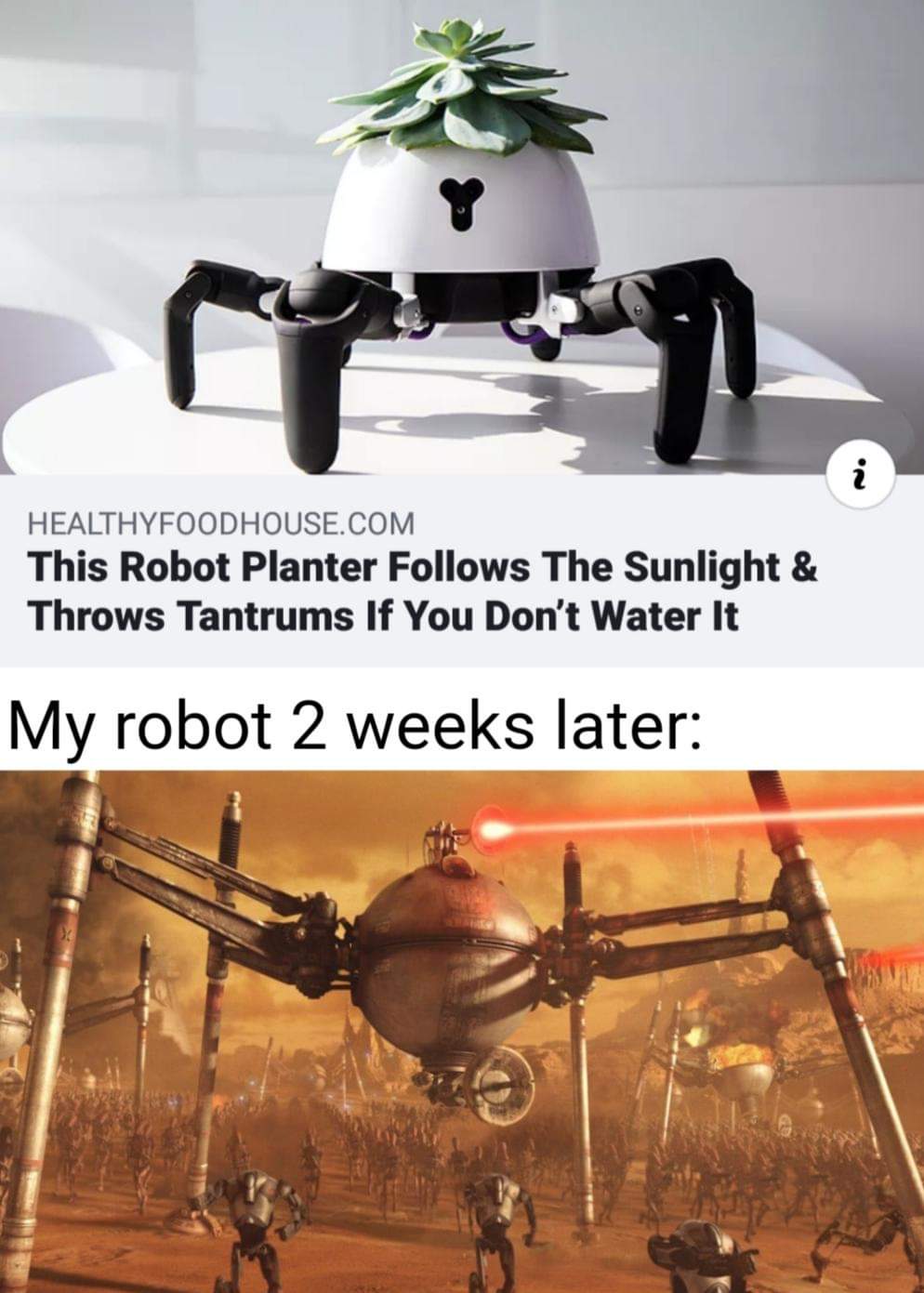 star wars homing spider droid - Healthyfoodhouse.Com This Robot Planter s The Sunlight & Throws Tantrums If You Don't Water It My robot 2 weeks later