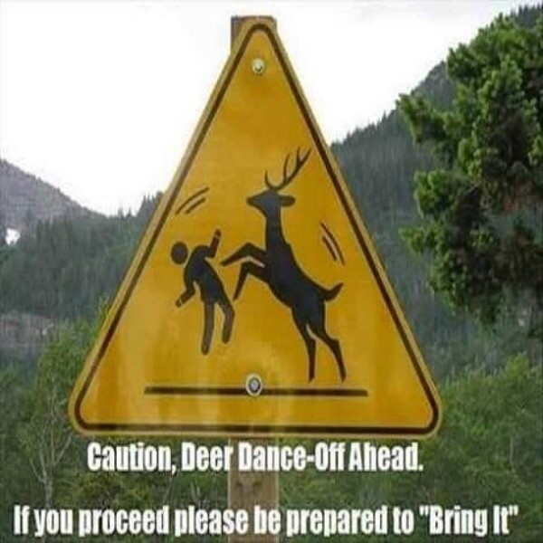 Traffic sign - Caution, Deer Danceoff Ahead. If you proceed please be prepared to "Bring It"