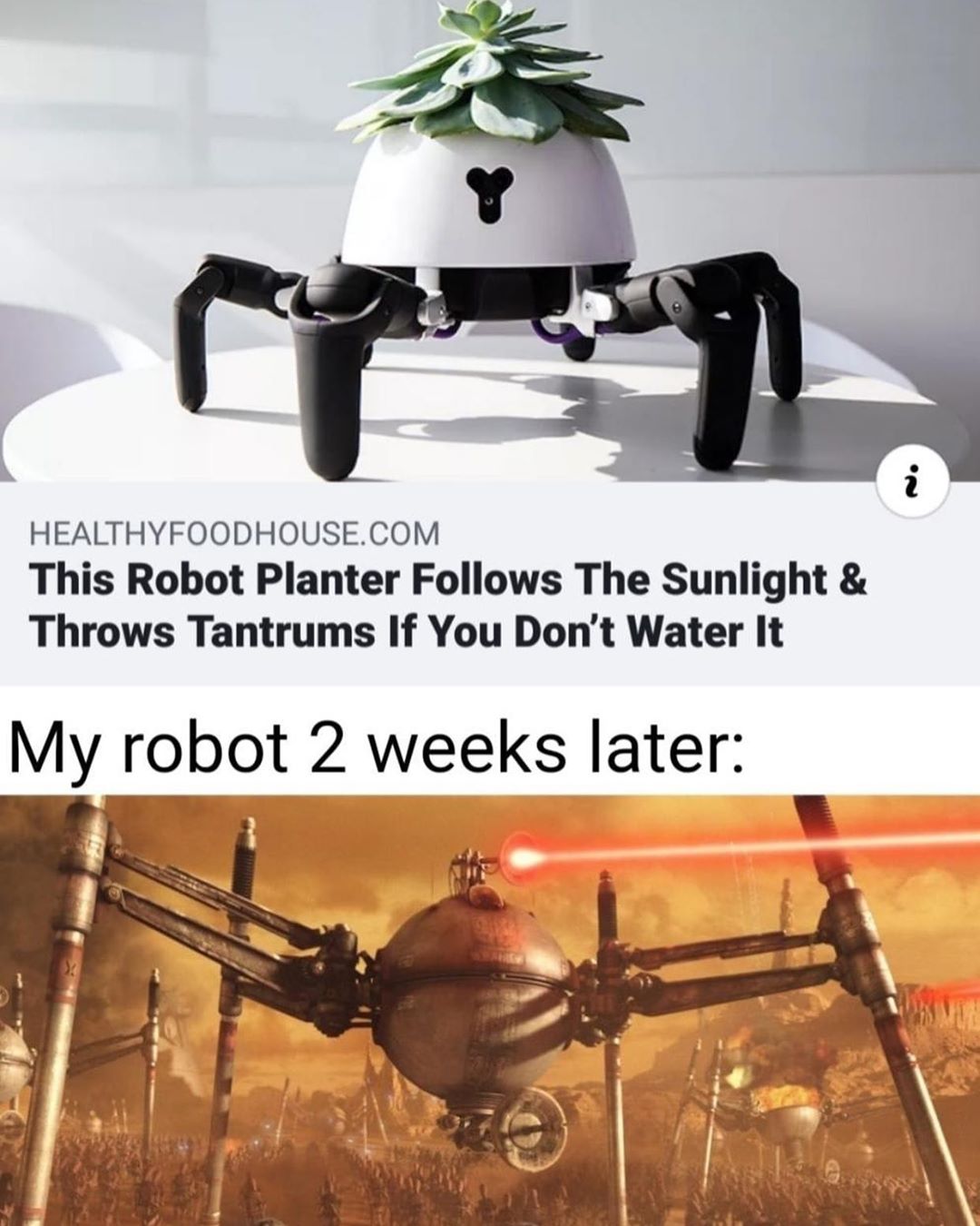 star wars spider droid - Healthyfoodhouse.Com This Robot Planter s The Sunlight & Throws Tantrums If You Don't Water It My robot 2 weeks later