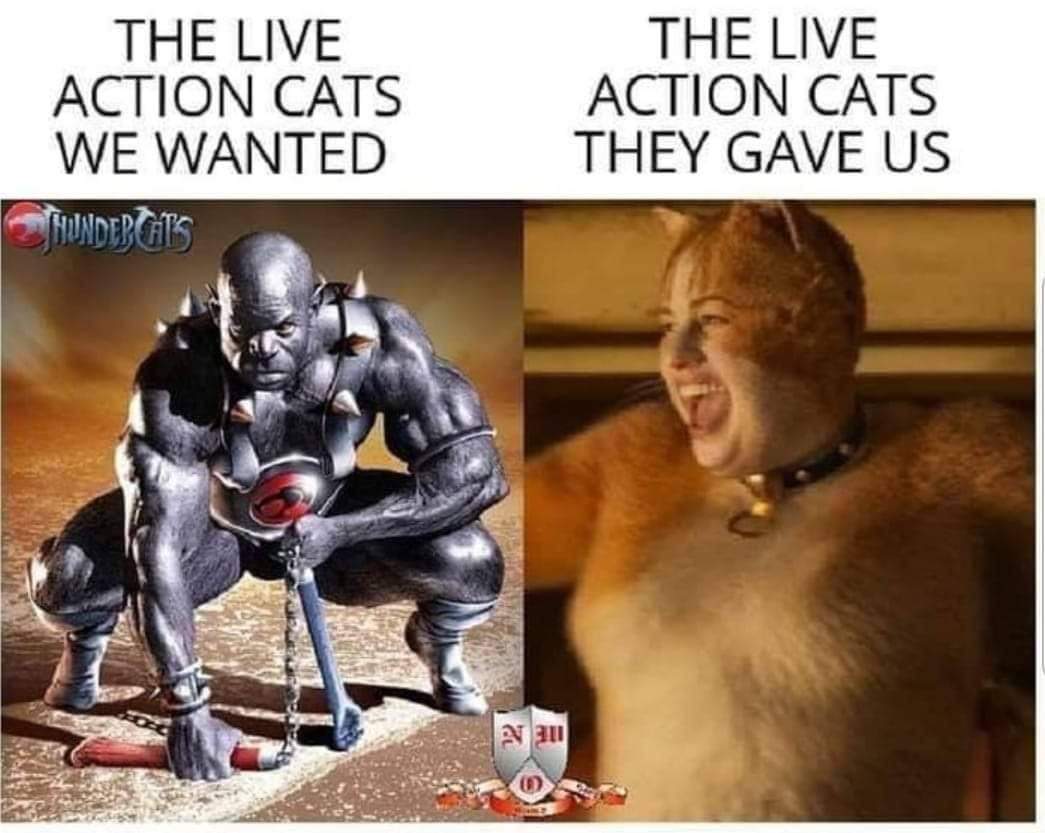 The Live Action Cats We Wanted Thundertats The Live Action Cats They Gave Us
