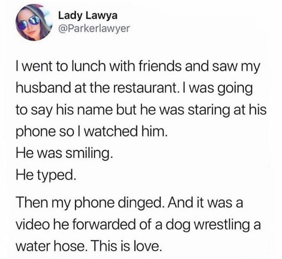 document - Lady Lawya I went to lunch with friends and saw my husband at the restaurant. I was going to say his name but he was staring at his phone so I watched him. He was smiling. He typed. Then my phone dinged. And it was a video he forwarded of a dog