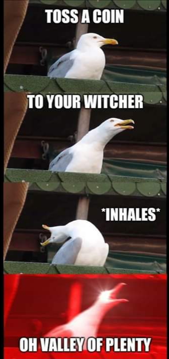 seagull meme west virginia - Toss A Coin To Your Witcher Inhales Oh Valley Of Plenty