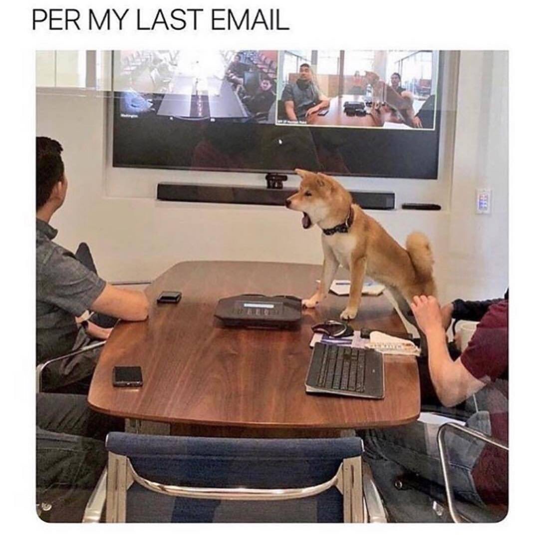 per my email meme - Per My Last Email