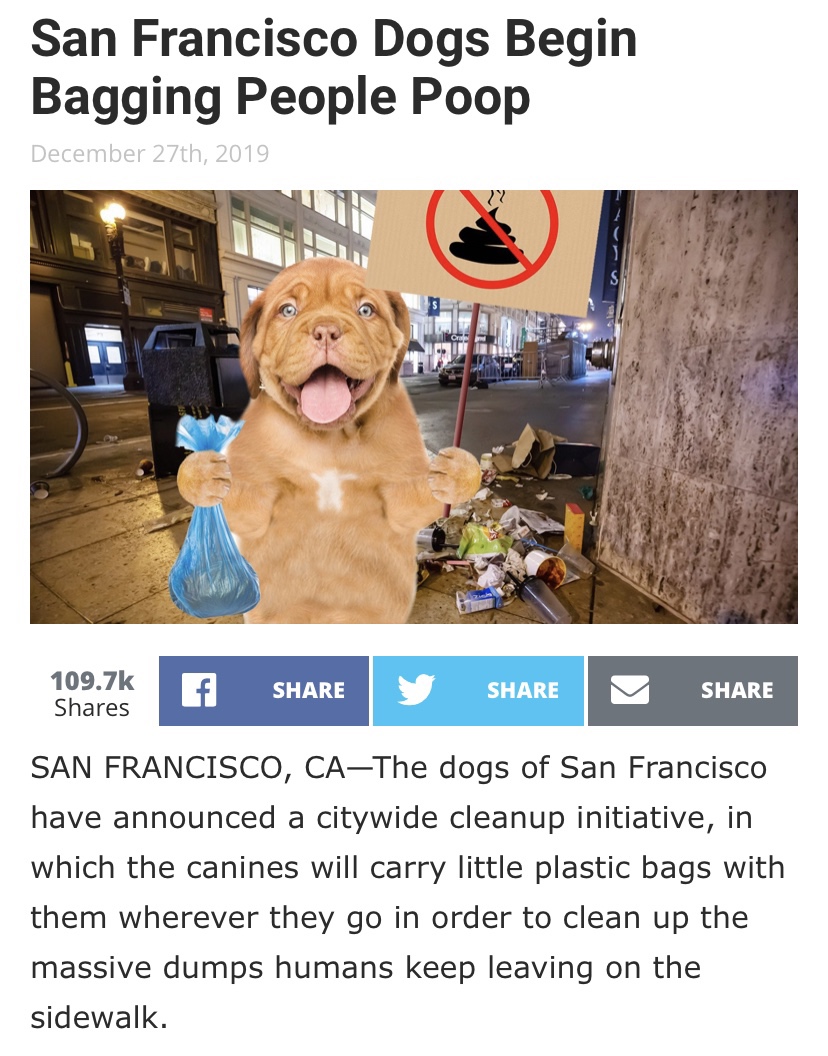 bussan auto finance - San Francisco Dogs Begin Bagging People Poop December 27th, 2019 f M San Francisco, CAThe dogs of San Francisco have announced a citywide cleanup initiative, in which the canines will carry little plastic bags with them wherever they