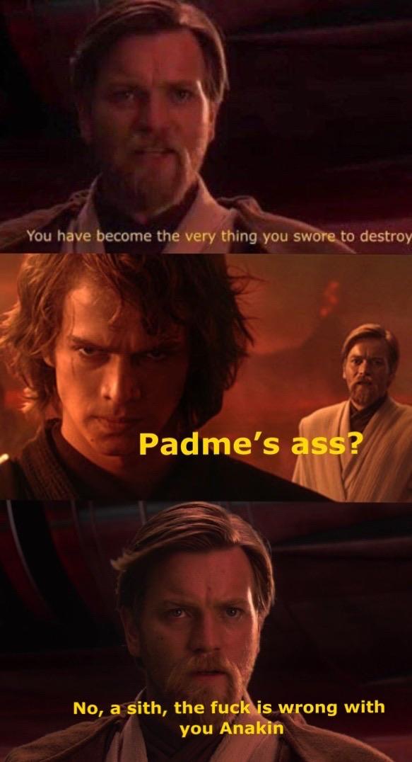 your turning into the very thing you swore to destroy - You have become the very thing you swore to destroy Padme's ass? No, a sith, the fuck is wrong with you Anakin
