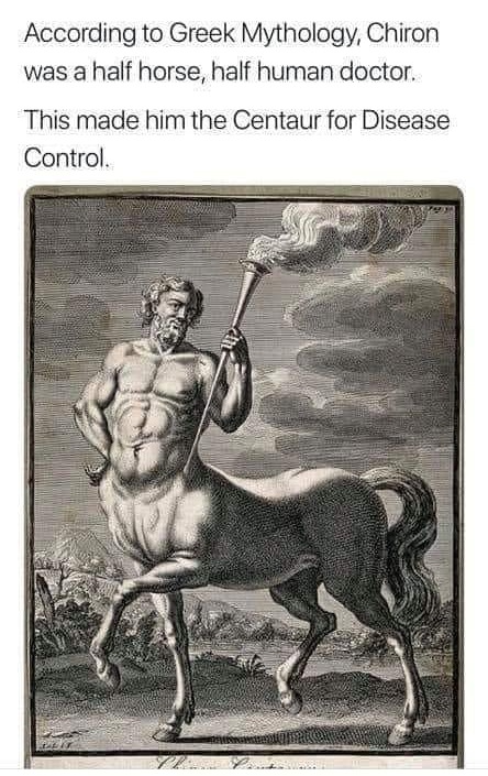 greek mythology chiron centaur - According to Greek Mythology, Chiron was a half horse, half human doctor This made him the Centaur for Disease Control.