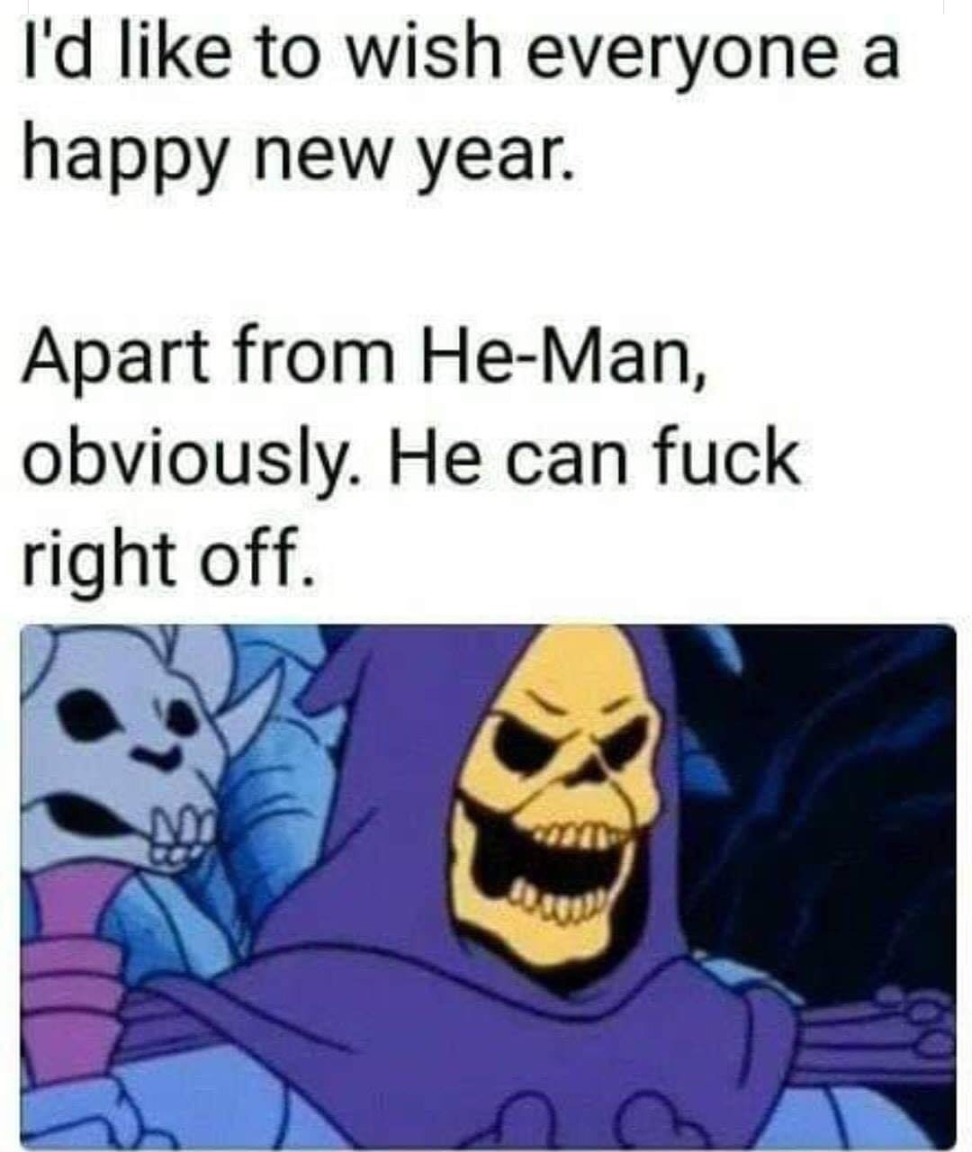 grumpy skeletor best - I'd to wish everyone a happy new year. Apart from HeMan, obviously. He can fuck right off.