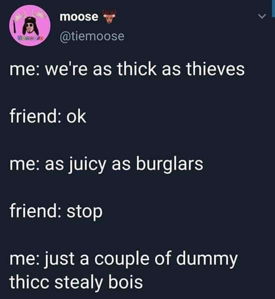thick as thieves juicy as burglars - moose me we're as thick as thieves friend ok me as juicy as burglars friend stop me just a couple of dummy thicc stealy bois