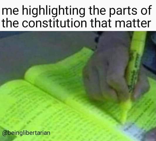 photo caption - me highlighting the parts of the constitution that matter