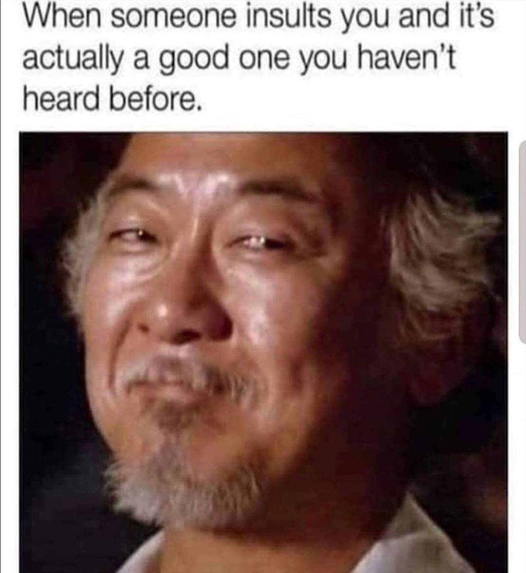 karate kid meme - When someone insults you and it's actually a good one you haven't heard before.