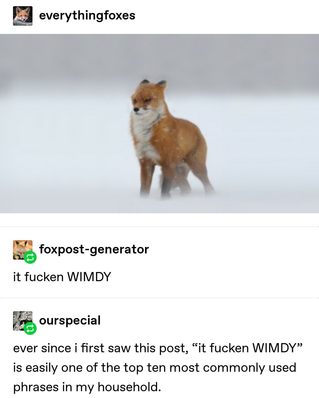 its fucken wimdy - everythingfoxes Cs foxpostgenerator it fucken Wimdy nourspecial ever since i first saw this post, "it fucken Wimdy is easily one of the top ten most commonly used phrases in my household.