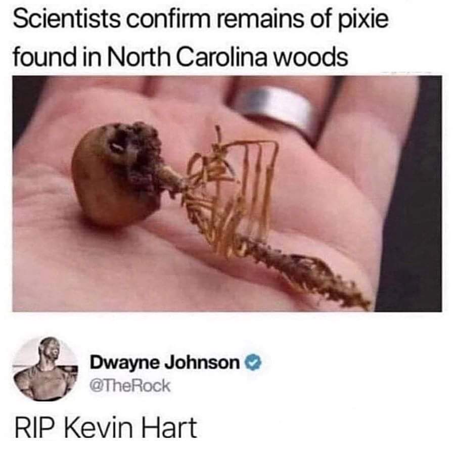 kevin hart meme - Scientists confirm remains of pixie found in North Carolina woods Dwayne Johnson Rip Kevin Hart