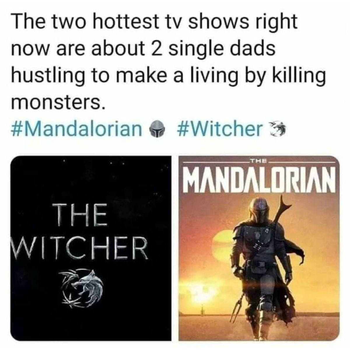 The two hottest tv shows right now are about 2 single dads hustling to make a living by killing monsters. The Mandalorian The Witcher