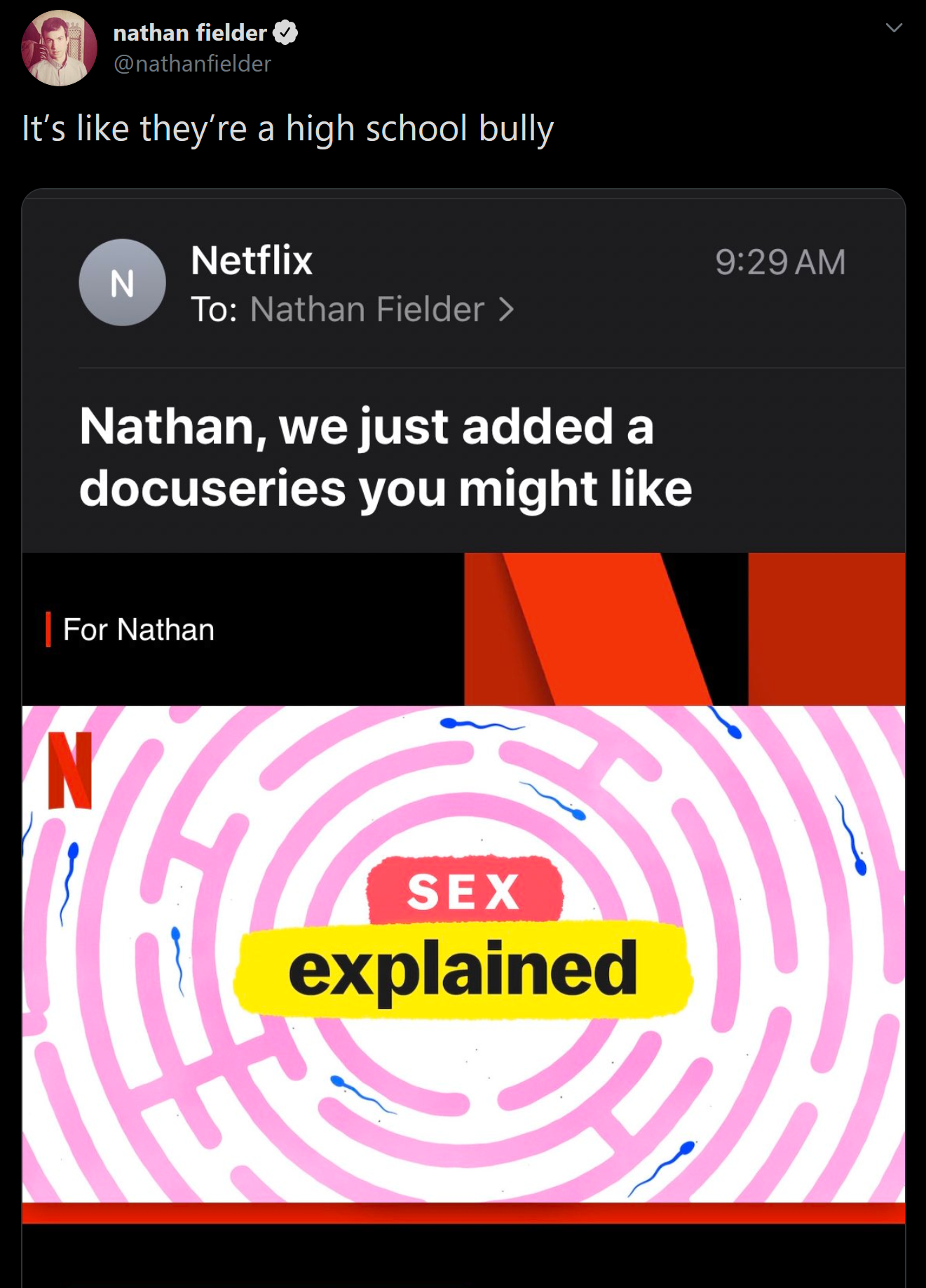 screenshot - nathan fielder nathanfielder It's they're a high school bully Netflix To Nathan Fielder > Nathan, we just added a docuseries you might For Nathan Sex explained
