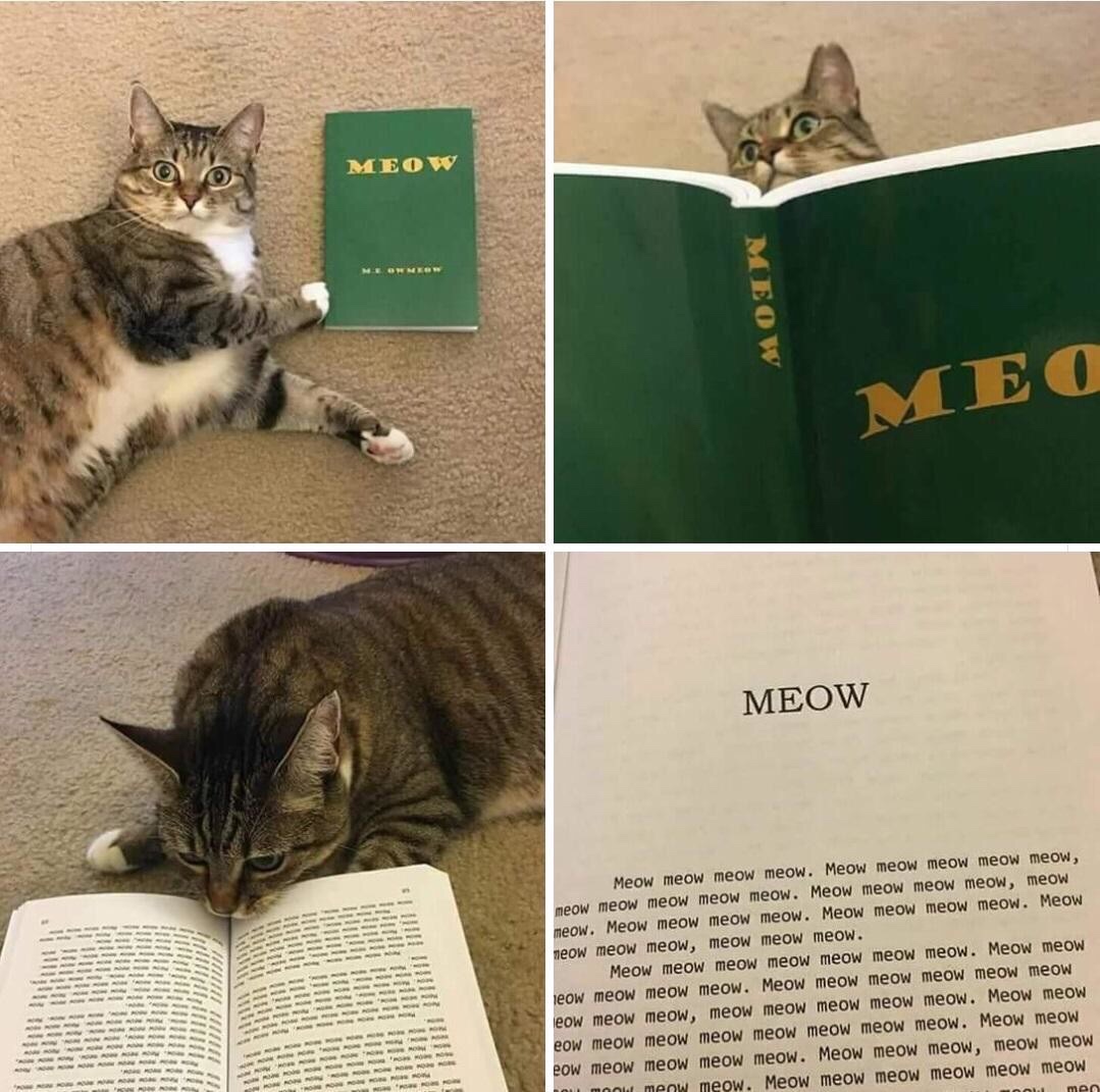 meow meme - Meow Lov Meo Meow I Will! lilillli nill i llit ! ! !!! ili liillil ! i u b il Meow meow meow meow. Meow meow meow meow meow, meow meow meow meow meow. Meow meow meow meow meow meow. Meow meow meow meow. Meow meow meow meow. Meow meow meow meow