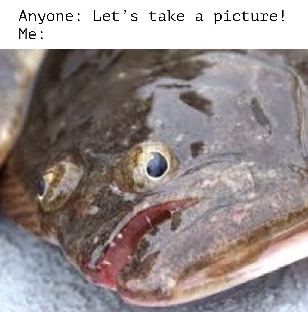 king salmon funny meme - Anyone Let's take a picture! Me