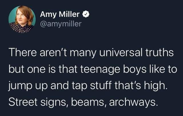 presentation - Amy Miller There aren't many universal truths but one is that teenage boys to jump up and tap stuff that's high. Street signs, beams, archways.
