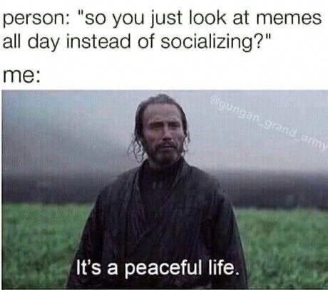 star wars memes for everyday life - person "so you just look at memes all day instead of socializing?" me sungan grand It's a peaceful life.