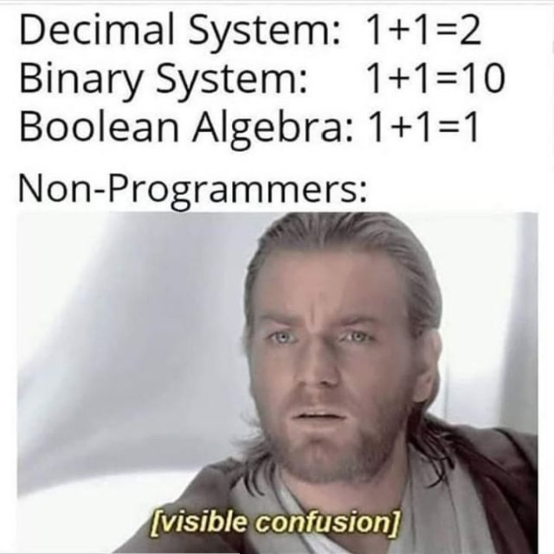 you booing me i m right - Decimal System 112 Binary System 1110 Boolean Algebra 111 NonProgrammers visible confusion