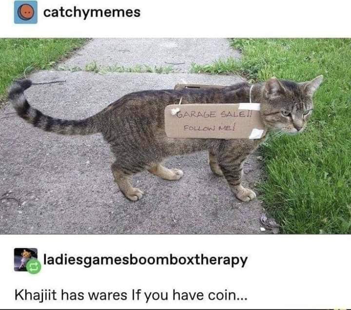 khajiit has wares meme - O catchymemes Es Garage Salen Me! ladiesgamesboomboxtherapy Khajiit has wares If you have coin...
