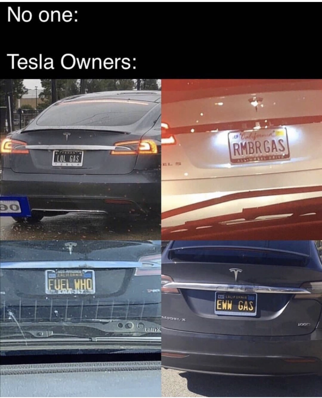 tesla owners meme - No one Tesla Owners Rmbrgas Lol Gasi Fuel Who It Chure Eww Gas 1001