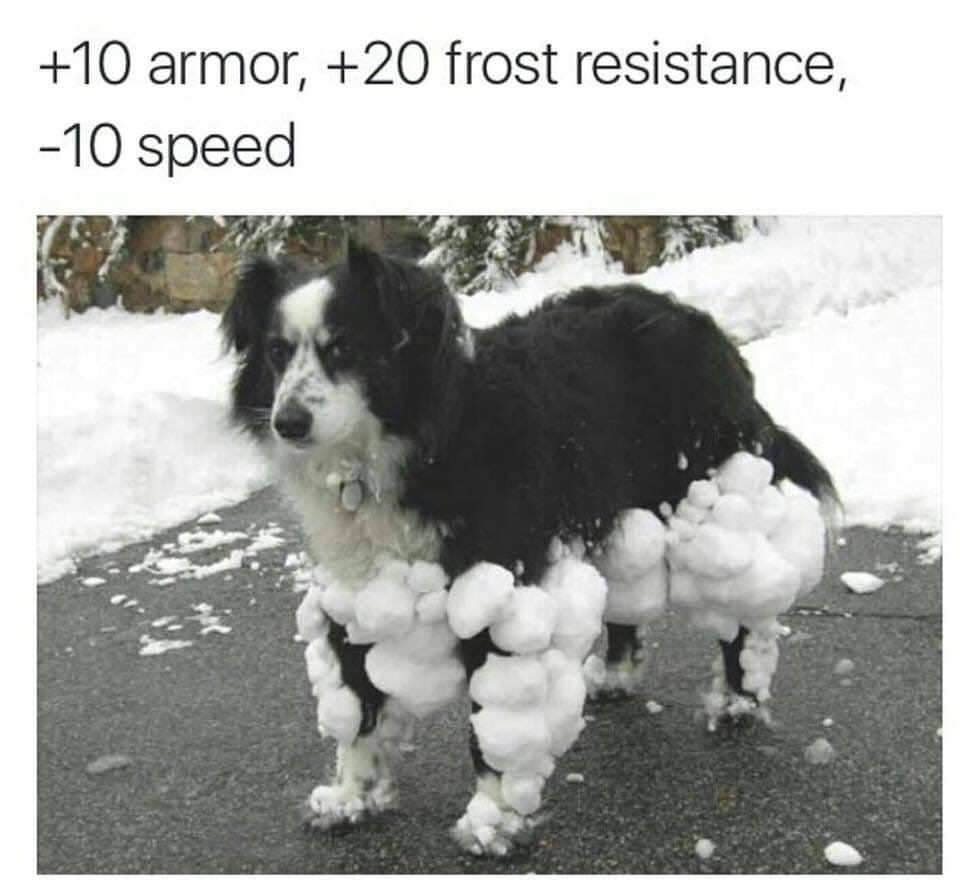 armored doggo - 10 armor, 20 frost resistance, 10 speed