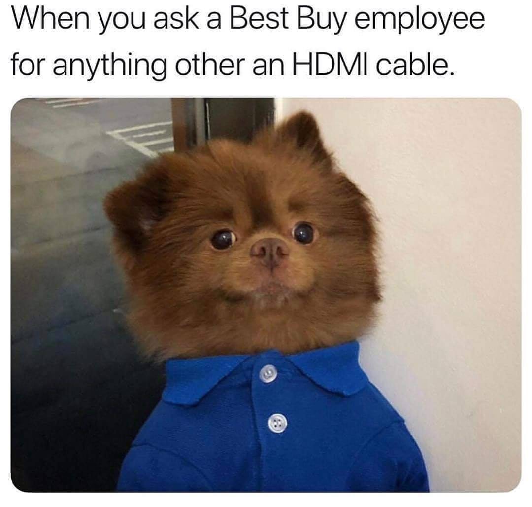 you ask a best buy employee - When you ask a Best Buy employee for anything other an Hdmi cable.
