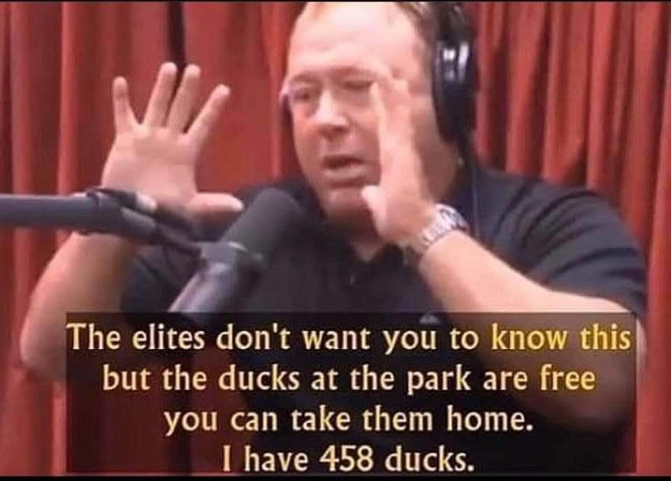 photo caption - The elites don't want you to know this but the ducks at the park are free you can take them home. I have 458 ducks.