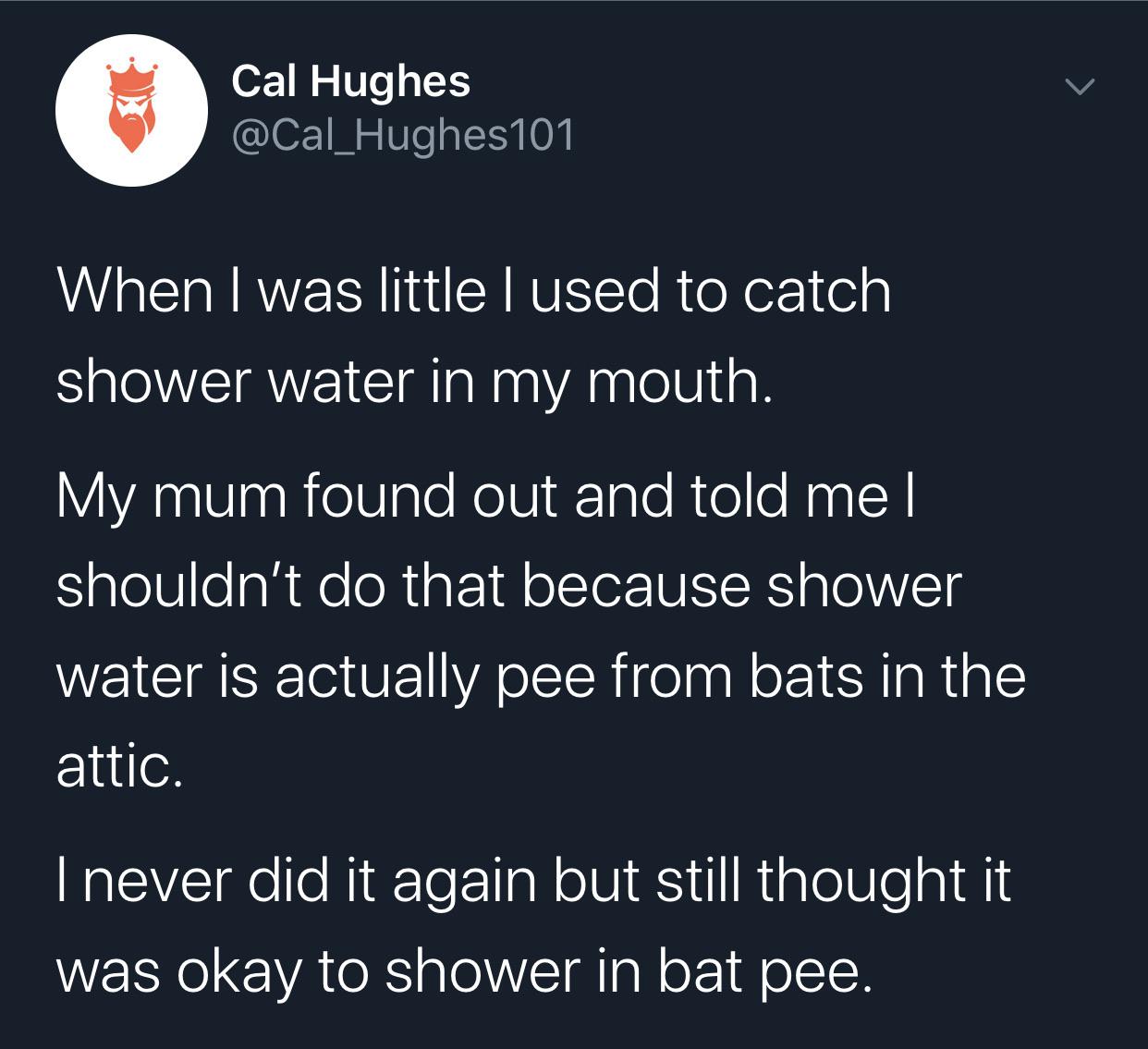 atmosphere - Cal Hughes When I was little lused to catch shower water in my mouth. My mum found out and told me | shouldn't do that because shower water is actually pee from bats in the attic. Inever did it again but still thought it was okay to shower in