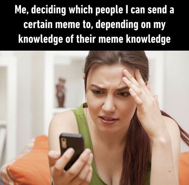 unwanted text messages - Me, deciding which people I can send a certain meme to, depending on my knowledge of their meme knowledge