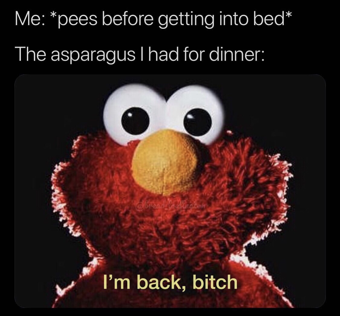 elmo terrorist - Me pees before getting into bed The asparagus I had for dinner padlock I'm back, bitch