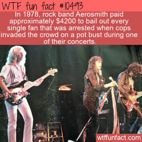 stage - Wtf fun fact In 1978, rock band Aerosmith paid approximately $4200 to bail out every single fan that was arrested when cops invaded the crowd on a pot bust during one of their concerts. wtffunfact.com