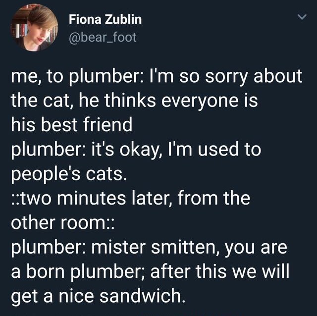 angle - Fiona Zublin me, to plumber I'm so sorry about the cat, he thinks everyone is his best friend plumber it's okay, I'm used to people's cats. two minutes later, from the other room plumber mister smitten, you are a born plumber; after this we will g