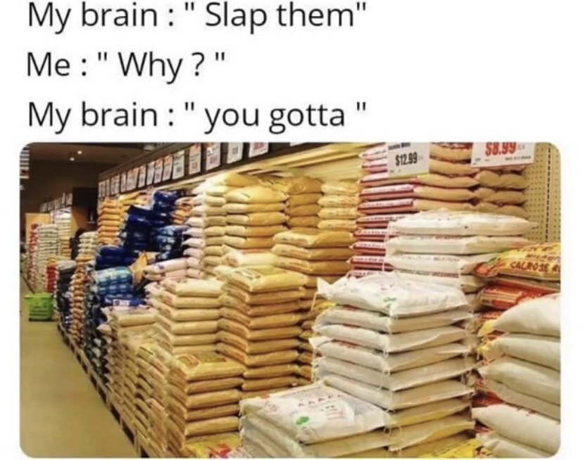 brain you gotta meme - My brain " Slap them" Me "Why?" My brain "you gotta" $8.99 $12.99 New