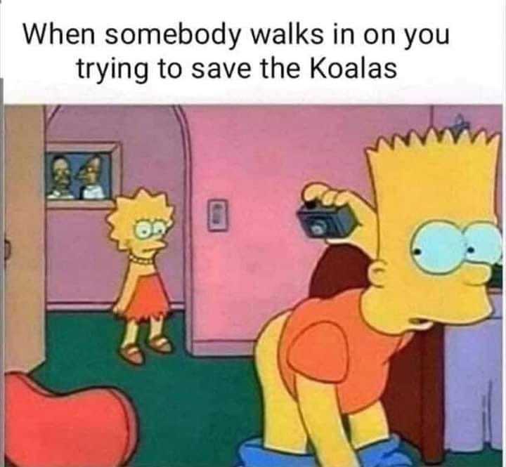 cartoon - When somebody walks in on you trying to save the Koalas
