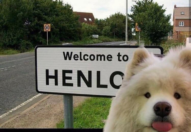 henlo fren - Welcome to Henlo